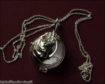 A qui appartient ce collier ?