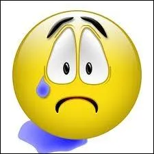 Quelle caractristique ne convient pas  ce smiley ?