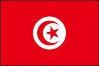 A quel pays appartient ce drapeau ?