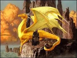 Comment s'appellent les matres du hros et de sa dragonne ?