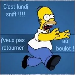 L'apostrophe est aussi employe quand on veut figurer la prononciation du langage parl populaire.  voil mon petit fils  peut s'crit aussi...