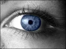 Comment s'appelle l'oeil de  Secret Story  ?