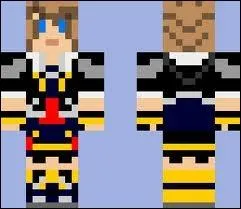 A quelle personne appartient ce skin ?