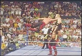 Comment se nomme cette prise ?