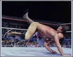 A qui appartient cette prise ?