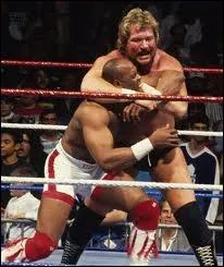 Comment se nomme cette prise ?