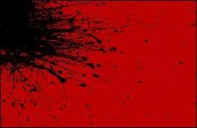 A qui doit-on  Le Rouge et le Noir  ?