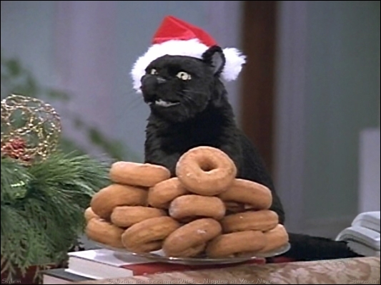 Devant le plat de beignets, c'est Salem, joli nom pour un joli chat très futé, et pour cause, c'est un sorcier ! Qui est sa maîtresse ?
