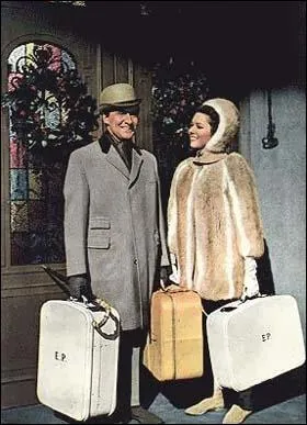 Voici un couple qui se prpare  fter Nol selon le titre anglais de l'pisode (Too many Christmas trees, en VO, Trop de sapins de Nol). Quel est le titre original de la srie ?