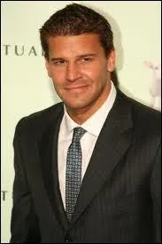 Quel personnage David Boreanaz a-t-il jou dans une srie tl ?
