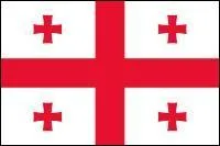 Quel pays possde ce drapeau ?