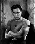 Quel film a rvl Marlon Brando ?