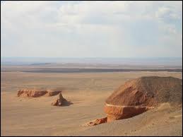 Le désert de Gobi est une vaste région qui empiète sur plusieurs pays d'Asie. A vous de désigner l'intrus parmi ces trois propositions.