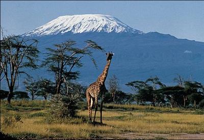 Culminant à 5 895 mètres, le Kilimandjaro (photo : le pic Uhuru, au volcan Kibo) est le plus haut sommet du continent africain. Dans quel pays le situez-vous ?