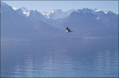 Un de ces trois lacs n'est pas un lac italo-suisse, lequel ?