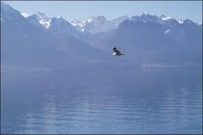 Un de ces trois lacs n'est pas un lac italo-suisse, lequel ?