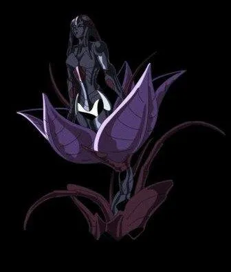 Quel est ce surplis ?