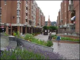 Je quitte le dpartement du Nord par la ville de Villeneuve-d'Ascq. Ses habitants portent le gentil ...