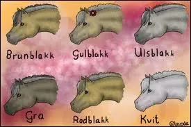 De quelle robe sont drives les robes du Fjord ?