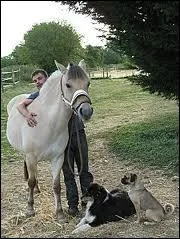 Dans laquelle de ces disciplines excelle le Fjord ?