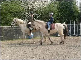 Dans laquelle de ces autres disciplines excelle le Fjord ?