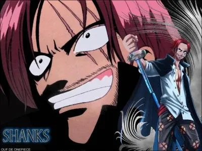 Quelle est la prime de Shanks ?