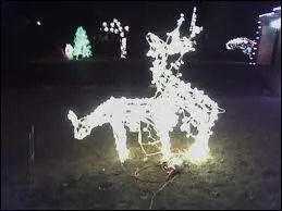 Que dire ? Que c'est affligeant ? Ou plutt dtourner la chose pour en faire... ?