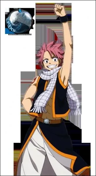 Quel ge a Natsu ?