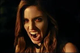 Qui tue Vicky Donovan ?