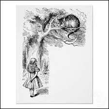  Oh vous ne sauriez faire autrement dit le chat : ici tout le monde est fou. Je suis fou. Vous tes folle... 