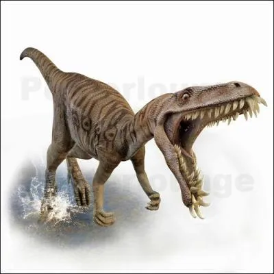 Celui-ci est le plus petit des abelisaurids, long de 1, 80 m il vivait  Madagascar  la fin du Crtac.