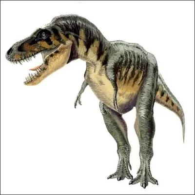 Ce  lzard angoissant  svissait en Mongolie et en Chine  la fin du Crtac. malgr ses 10 mtres de long il tait un peu plus petit que Tyrannosaurus mais il lui ressemblait beaucoup.