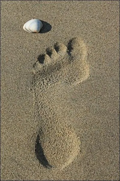 Je vous souhaite surtout d'�tre ...