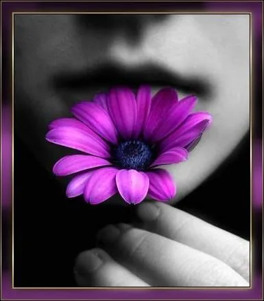 Je vous souhaite des ...