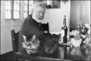 En tout cas je veux un chat; je veux un chat, je veux un chat tout de suite ! Si je ne peux pas avoir de cheveux longs, et si je ne peux pas m'amuser, je peux au moins avoir un chat  . Bon ! Ok, c'est ?