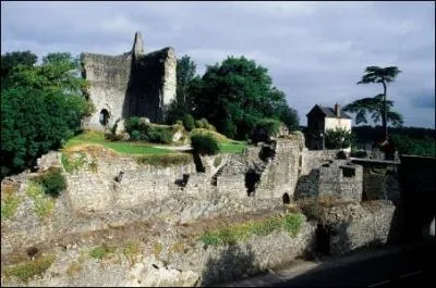 Domfront o doit se marier votre cousine Isabelle est situ dans :