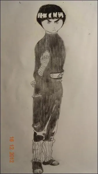 Et pour finir, dans Naruto, ce garon a la particularit de ne pouvoir que maitriser le Taijutsu, mais  trs haut niveau. Reconnaissez-vous le dernier personnage de cette premire partie ?