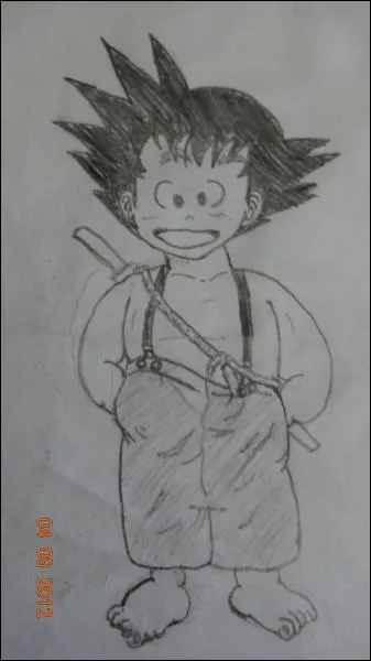 Je tiens  dire que les dessins dans les questions sont cits dans l'ordre o je les ai dessins. Qui est ce personnage appartenant  Dragon Ball ?