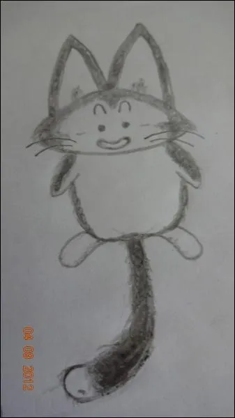 Dans Dragon Ball, qui est ce chat ayant le mme pouvoir que le cochon mais pouvant galement voler en sa forme initiale ?