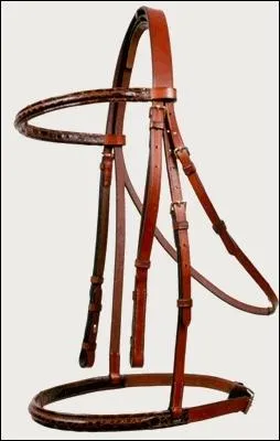 Quelle partie n'est pas dans le filet ?