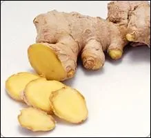 Comment appelle-t-on cette plante ?