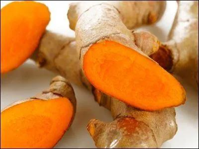 Comment appelle-t-on cette plante ?