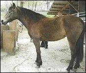 Quel est le nom de celle-ci ?