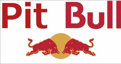 Chanteur : Pitbull marque...