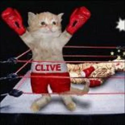  Le combat du sicle  est un match de boxe qui a oppos le champion du monde  son challenger Mohamed Ali, le 8 mars 1971 au Madison Square Garden de New York. Qui tait ce champion du monde ?