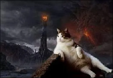 Dans  Le Seigneur des anneaux , comment se nomme le lieu situ au coeur du Mordor, dans lequel Frodon doit jeter l'anneau pour le dtruire  jamais ?