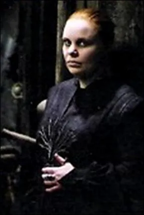 En quelle anne ce professeur enseigne-t-il  Poudlard ?