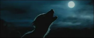 Et quelle est la diffrence entre un loup-garou et un Animagus (comment disent-ils dans le film) ?