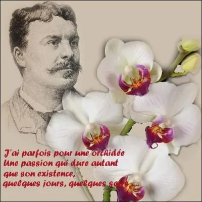  J'ai parfois pour une orchide, une passion qui dure autant que son existence, quelques jours, quelques soirs ... . Qui est l'auteur de ce pome ?