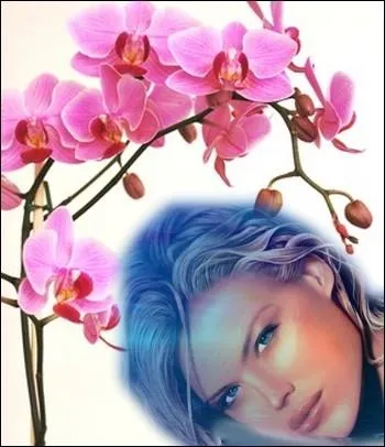 Dans le langage des fleurs, que reprsente l'orchide ?